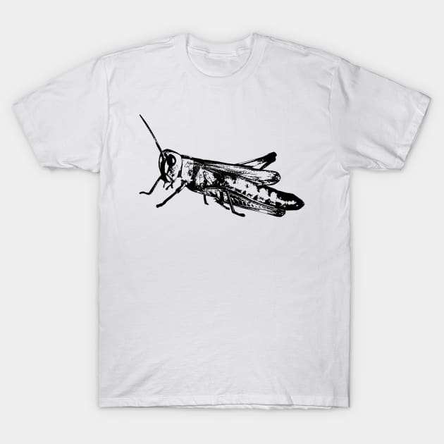 Grasshopper black T-Shirt by R LANG GRAPHICS